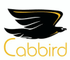 Digital solutions and SEO - CbbirdCase Study